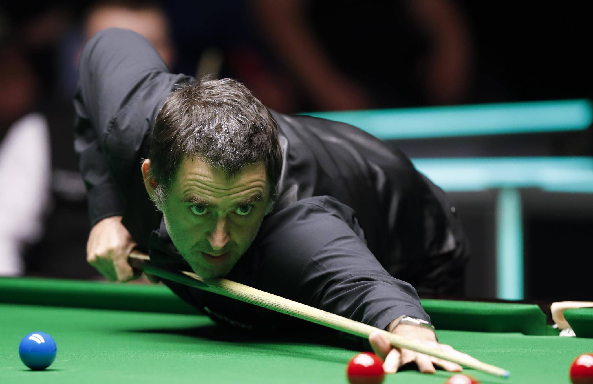 迅速建立优 迅速建立优